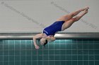 Diving vs Babson  Wheaton College Diving vs Babson College. - Photo By: KEITH NORDSTROM : Wheaton, Diving